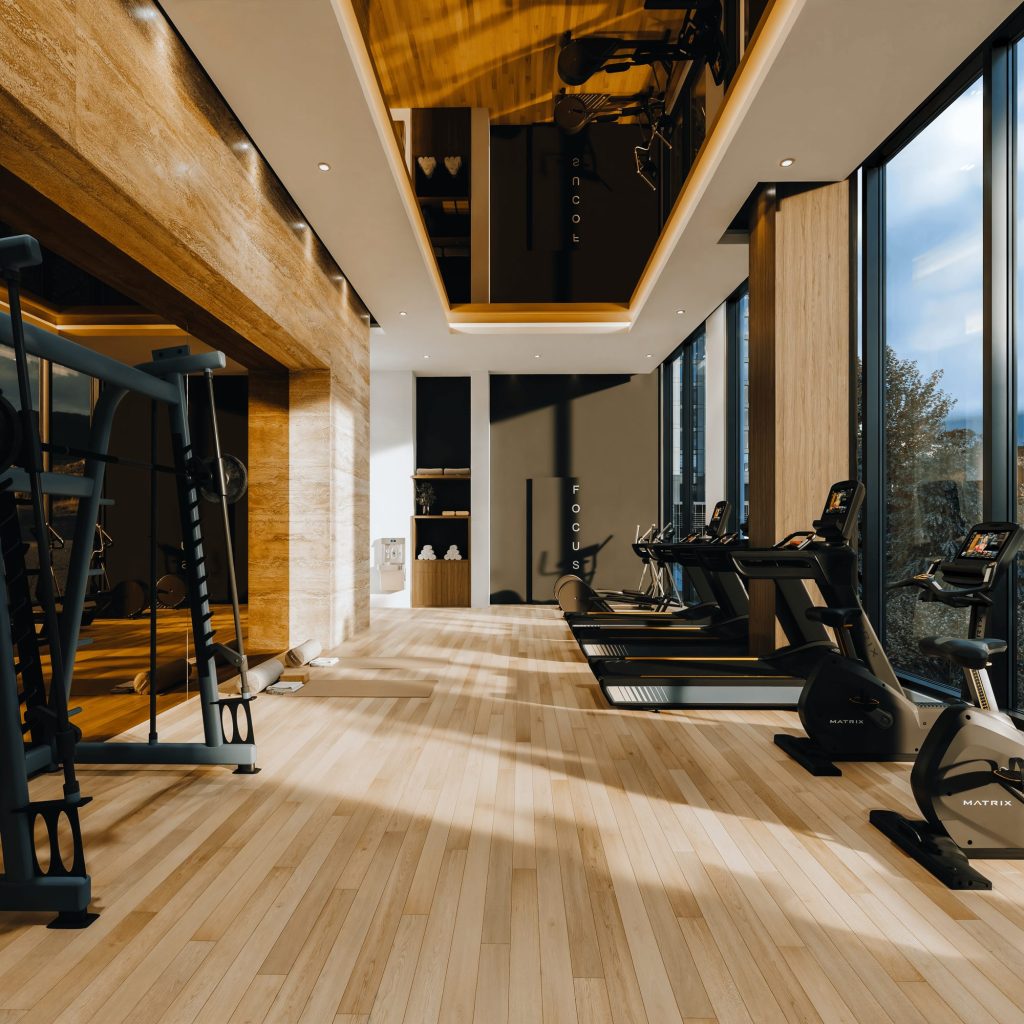 voltige-gym